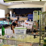 Das Roulette des Todes ist am Sonntag besiegt!