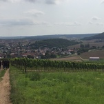 Abstieg nach Frei-Laubersheim