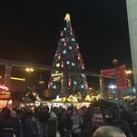 Der Baum ist gefunden